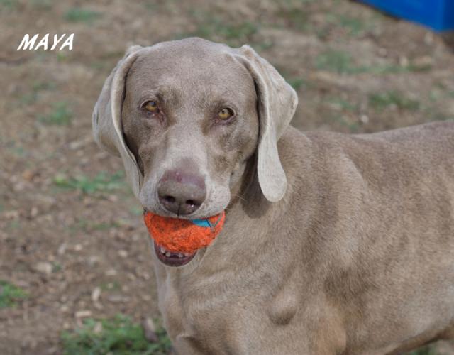 Maya Tulare with Ball